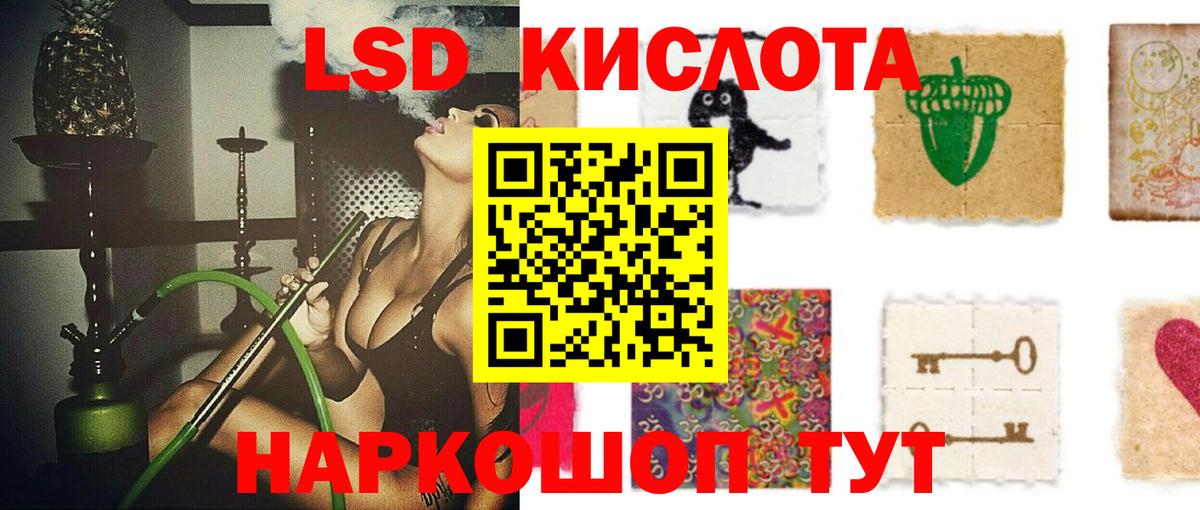 APVP Бердск