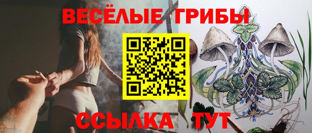 Бердск  Псилоцибиновые грибы Magic Shrooms  Вход с VPN 