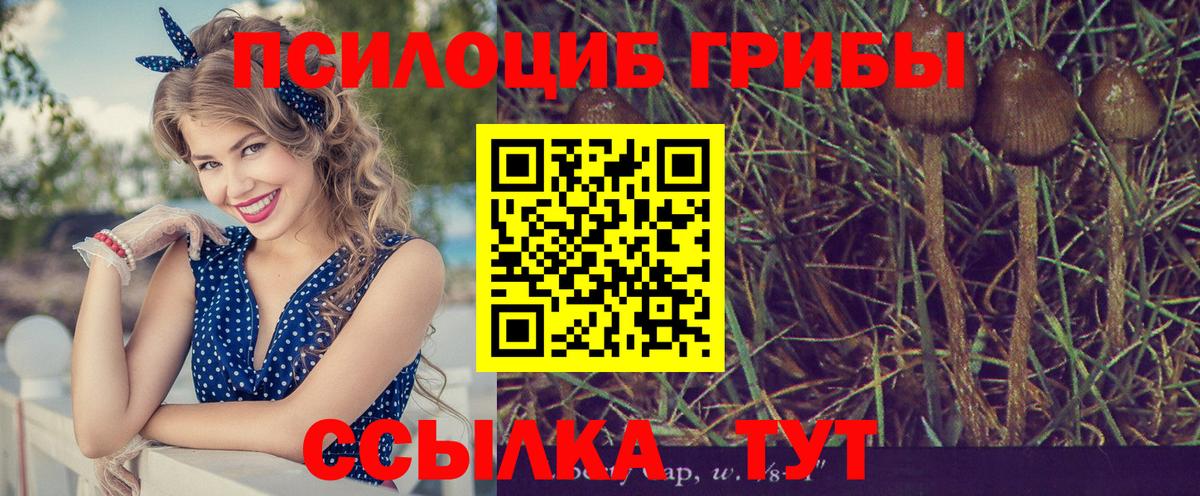 Псилоцибиновые грибы Magic Shrooms Бердск